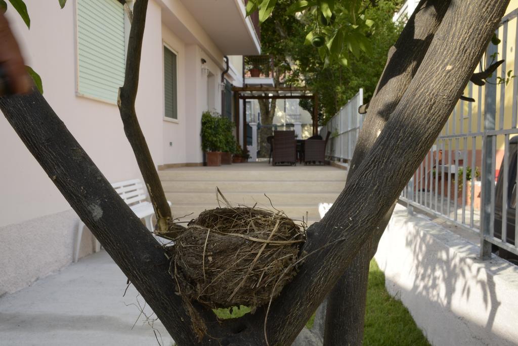 B&B Villa Degli Angeli 普拉亚·阿马勒 外观 照片